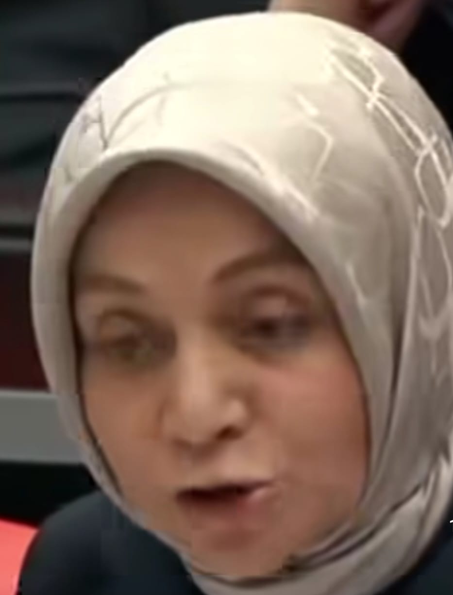 AKP'li Vekilden Tepki Çeken Sözler: ‘Aleviler Öldürülüyor Diye Ortalığı Ayağa Kaldırıyor’