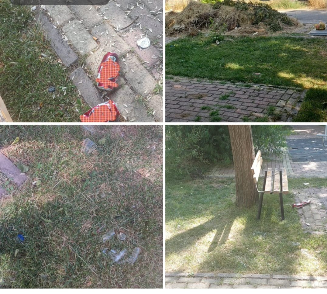 Temizlenmeyen  Parkın Çöplüğü Aratmayan Hali