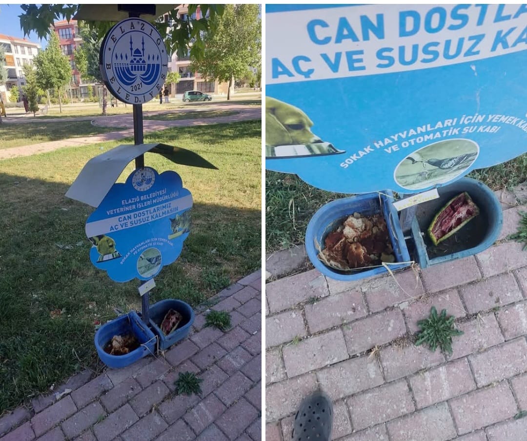 Elazığ Belediyesi’nden Duyarsızlık Örneği
