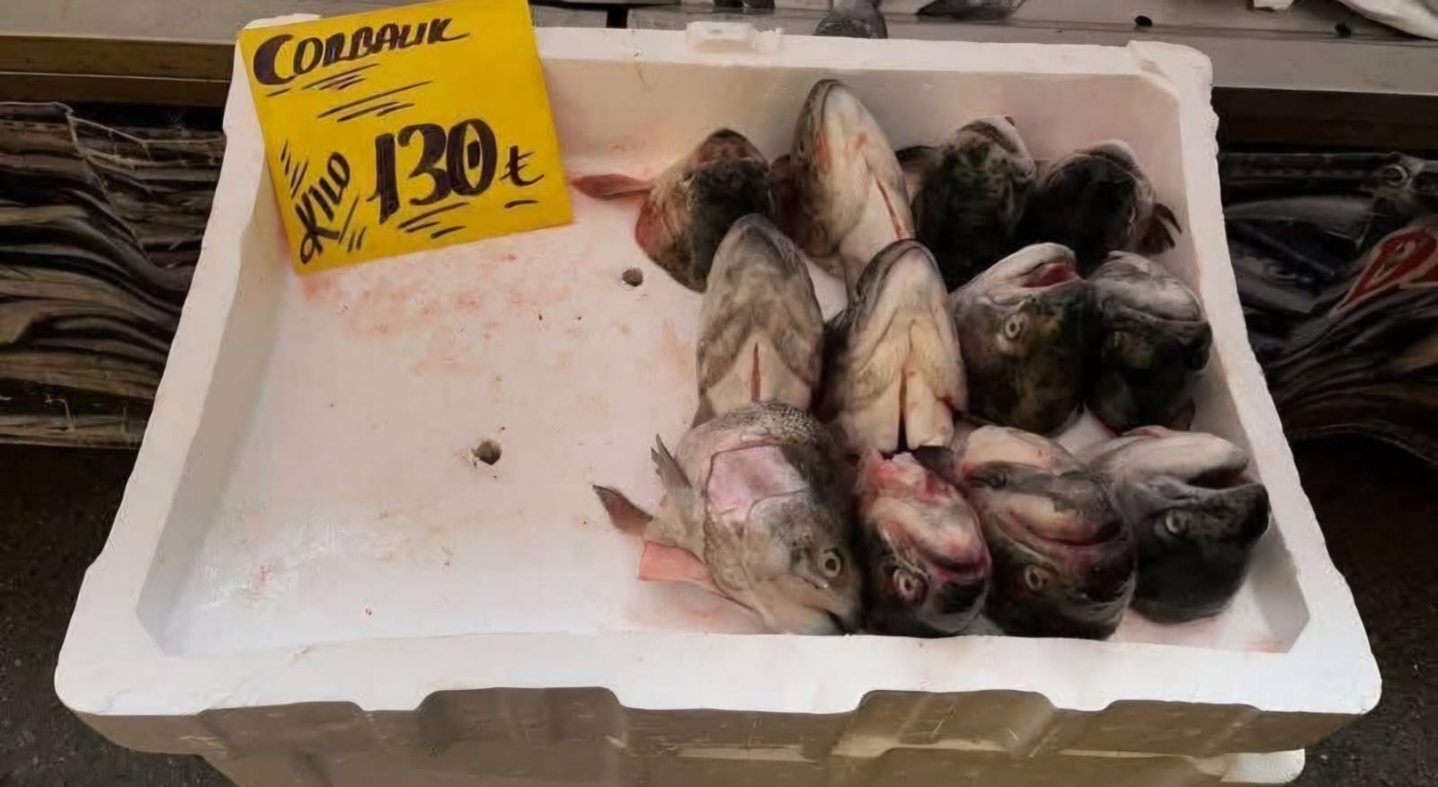 Vatandaşın Parası Ancak Kafasına Yeter Oldu